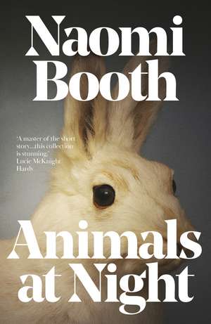 Animals at Night de Naomi Booth