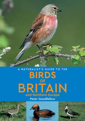 A Naturalist's Guide to the Birds of Britain and Northern Europe (2nd edition) de Peter Goodfellow