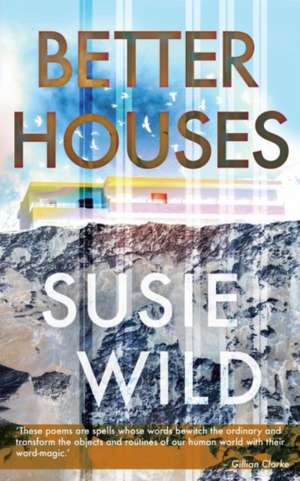 Better Houses de Susie Wild