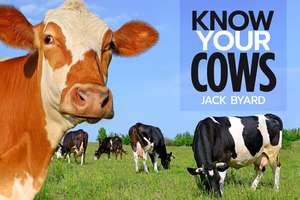 Know Your Cows de Jack Byard