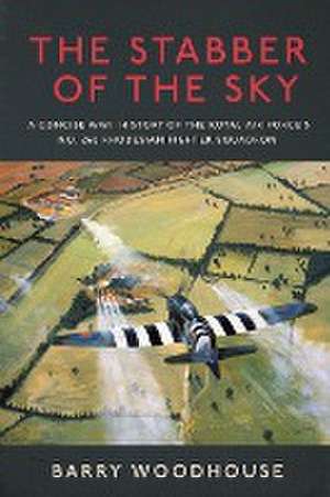 The stabber of the sky de Barry Woodhouse