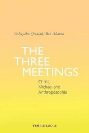 The Three Meetings de Yeshayahu Ben-Aharon