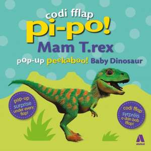 Lloyd, C: Codi Fflap Pi-Po!: Mam T.Rex / Pop-Up Peekaboo Bab de Clare Lloyd