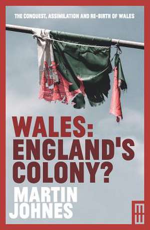 Wales: England's Colony? de Martin Johnes