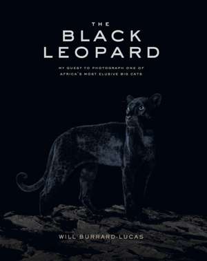 The Black Leopard de Will Burrard-Lucas