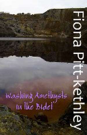 Pitt-Kethley, F: Washing Amethysts in the Bidet de Fiona Pitt-Kethley