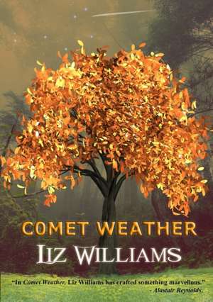 Comet Weather de Liz Williams