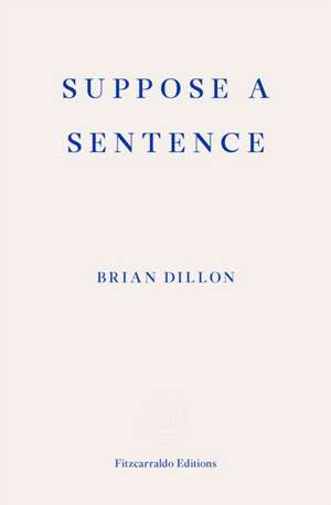 Suppose a Sentence de Brian Dillon