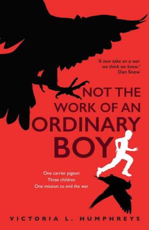 Not the Work of an Ordinary Boy de Victoria L Humphreys