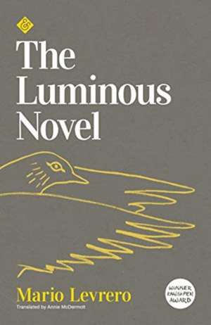 Luminous Novel de Mario Levrero