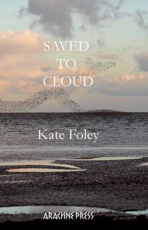 Saved to Cloud de Kate Foley