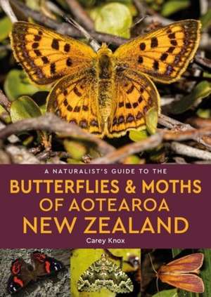 A Naturalist's Guide to the Butterflies & Moths of Aotearoa New Zealand de Carey Knox