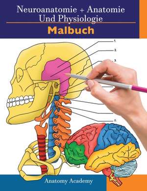 Harrison, C: Neuroanatomie + Anatomie und Physiologie Malbuc