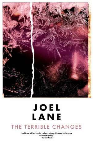 The Terrible Changes de Joel Lane