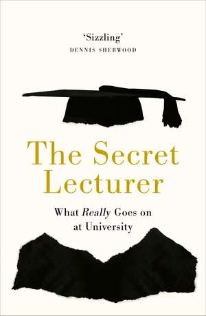 The Secret Lecturer: What Really Goes on at University de Secret Lecturer