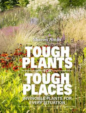 Amos, S: Tough Plants for Tough Places de Sharon Amos