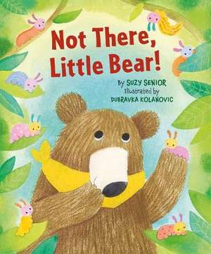 Not There Little Bear de Suzy Senior