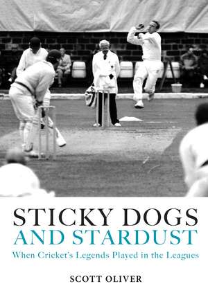 Sticky Dogs and Stardust de Scott Oliver