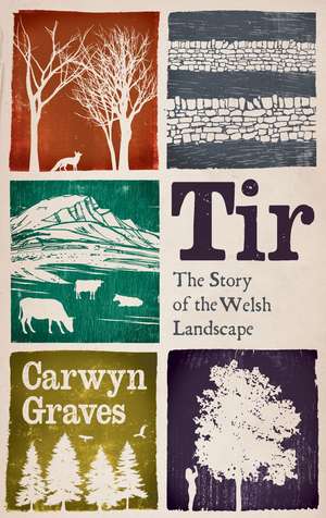 Tir: The Story of the Welsh Landscape de Carwyn Graves