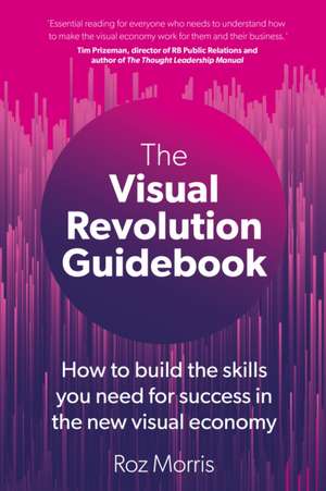 The Visual Revolution Guidebook de Roz Morris