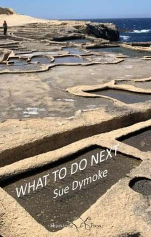 What To Do Next de Sue Dymoke