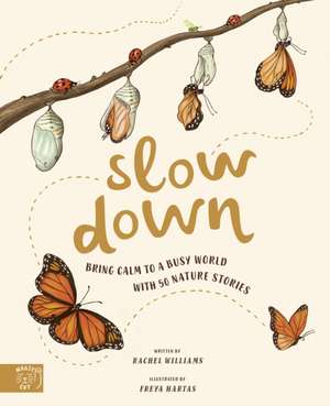 Slow Down de Rachel Williams