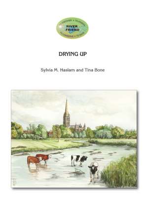 Drying Up de Sylvia Mary Haslam