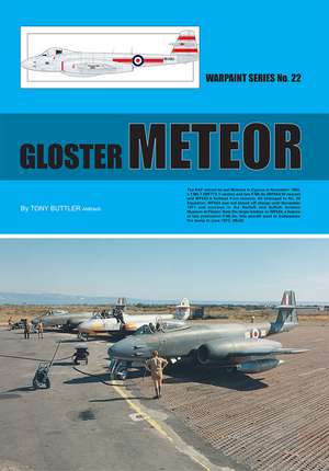 Gloster Meteor de Alan Hall