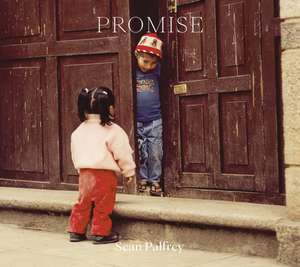 Promise de Sean Palfrey