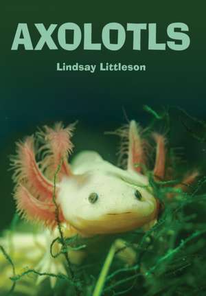Axolotls de Lindsay Littleson