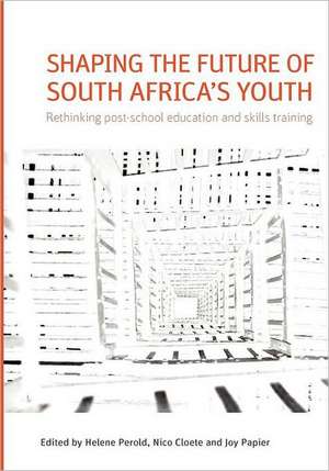 Shaping the Future of South Africa's Youth. Rethinking Post-School Education and Skills Training de Nico Cloete