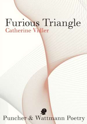 Furious Triangle de Catherine Vidler