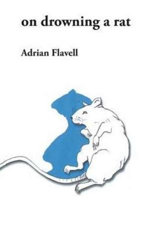 on drowning a rat de Adrian Flavell