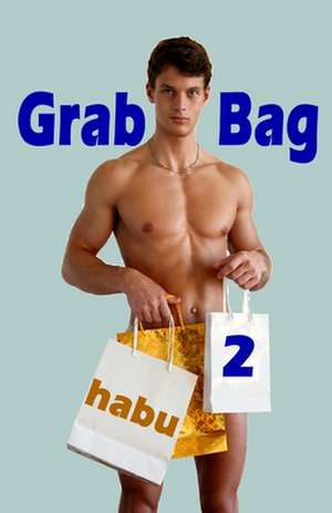 Grab Bag 2: An Unthemed Gay Erotica Anthology de Habu