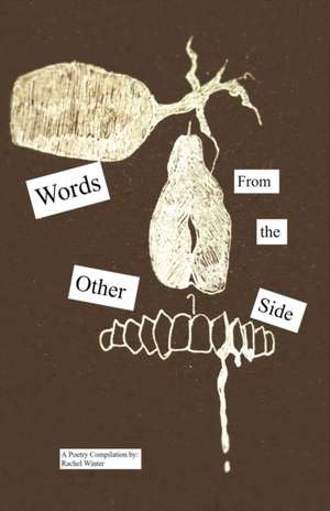 Words From the Other Side de Rachel Winter