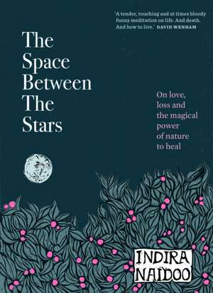 The Space Between the Stars de Indira Naidoo