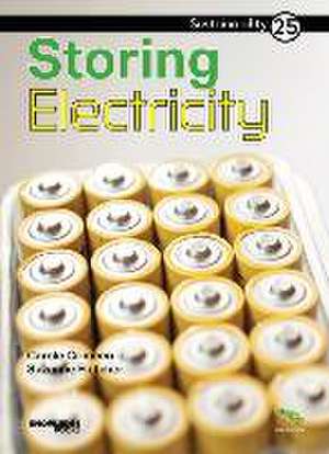 Storing Electricity de Carole Crimeen