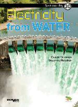 Electricity from Water de Carole Crimeen