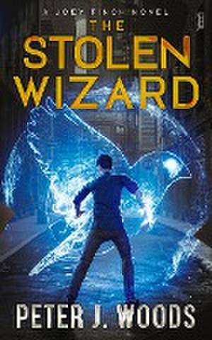 The Stolen Wizard de Peter J. Woods