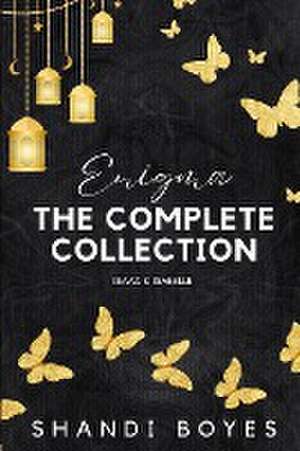 Enigma de Shandi Boyes