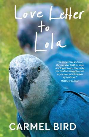 Love Letter to Lola de Carmel Bird