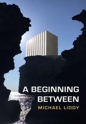 Liddy, M: A Beginning Between de Michael Liddy