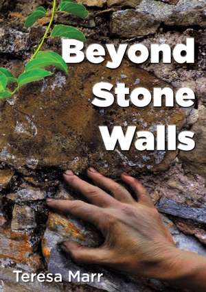 Beyond Stone Walls de Teresa Marr