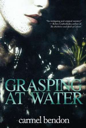 Grasping at Water de Carmel Bendon