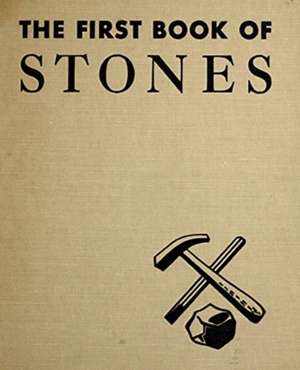 The First Book of Stones de M. B. Cormack