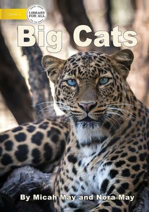 Big Cats de Micah May