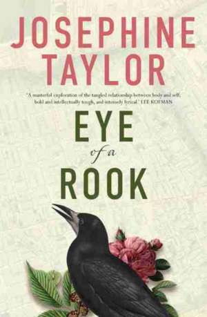 Eye of a Rook de Josephine Taylor