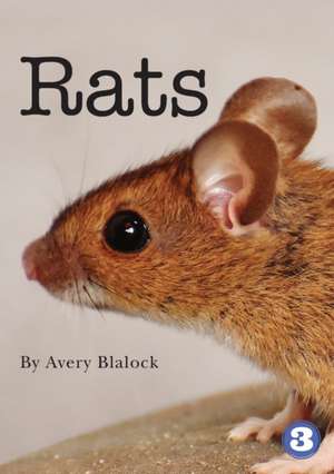 Rats de Avery Blalock