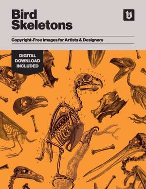 Bird Skeletons: Copyright-Free Images for Artists & Designers de Kale James