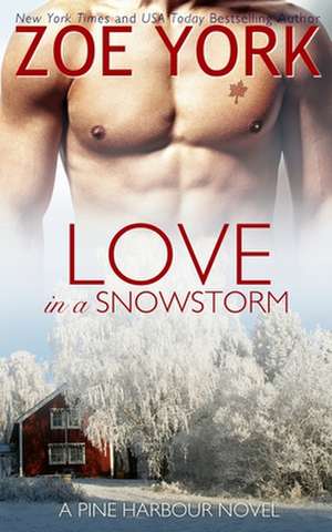 Love in a Snowstorm de Zoe York